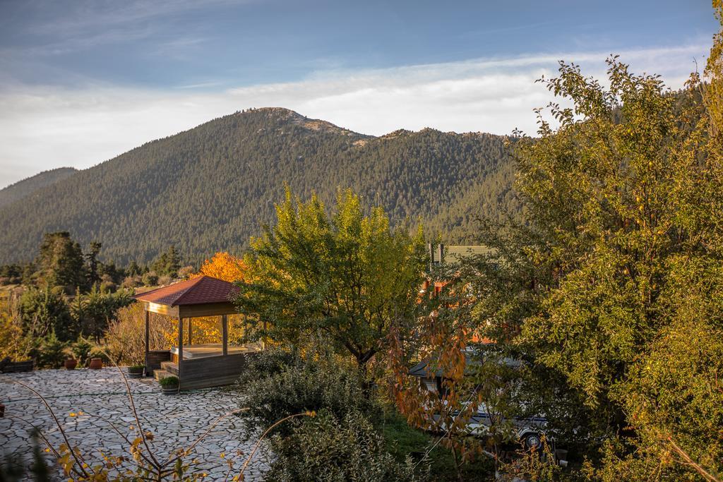 Boutique Hotel Skamnos Arachova Eksteriør billede