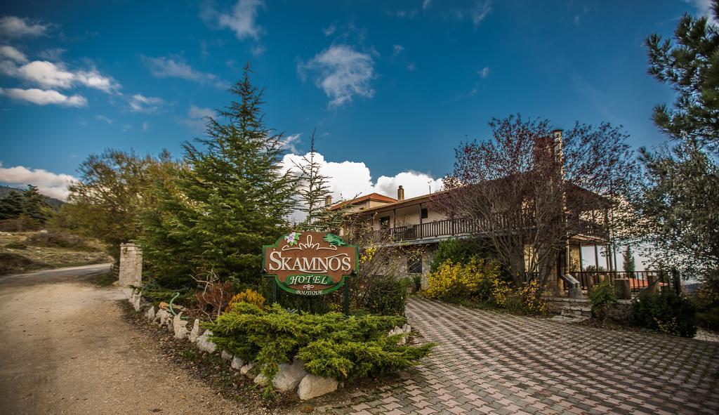Boutique Hotel Skamnos Arachova Eksteriør billede