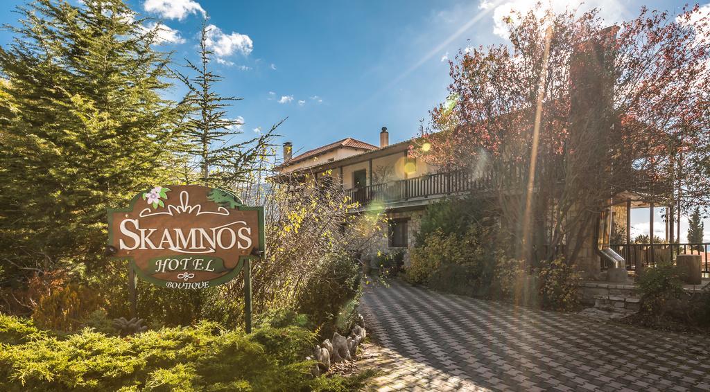 Boutique Hotel Skamnos Arachova Eksteriør billede