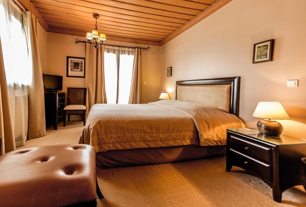Boutique Hotel Skamnos Arachova Eksteriør billede