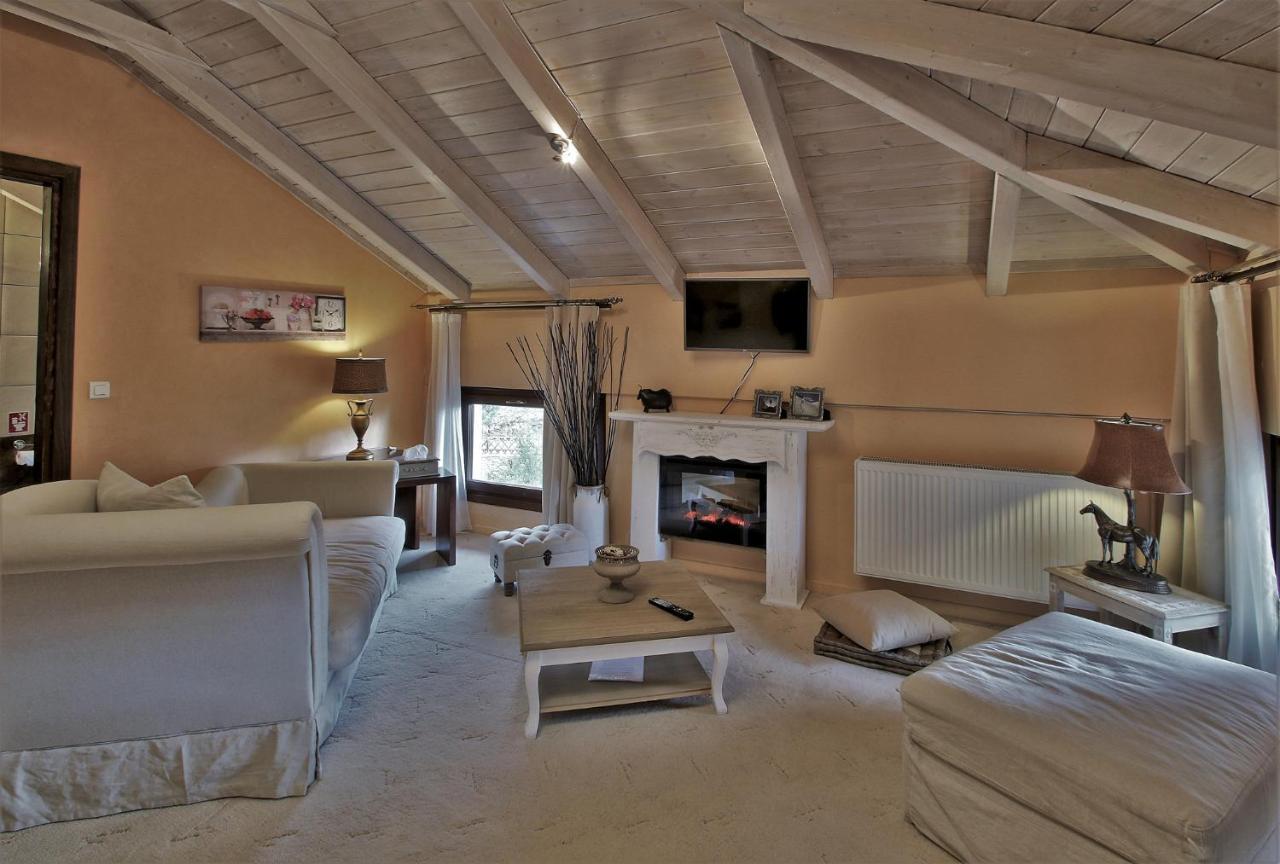 Boutique Hotel Skamnos Arachova Eksteriør billede